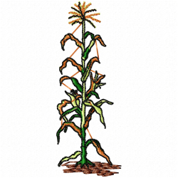 Plants Embroidery Design 3 Plants Embroidery Design 3